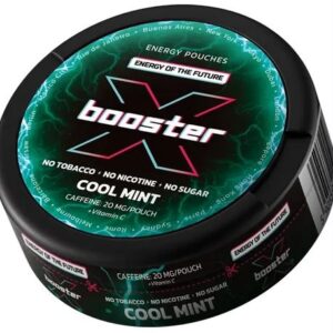 WORECZKI NIKOT. X-BOSTER COOL MINT 20MG